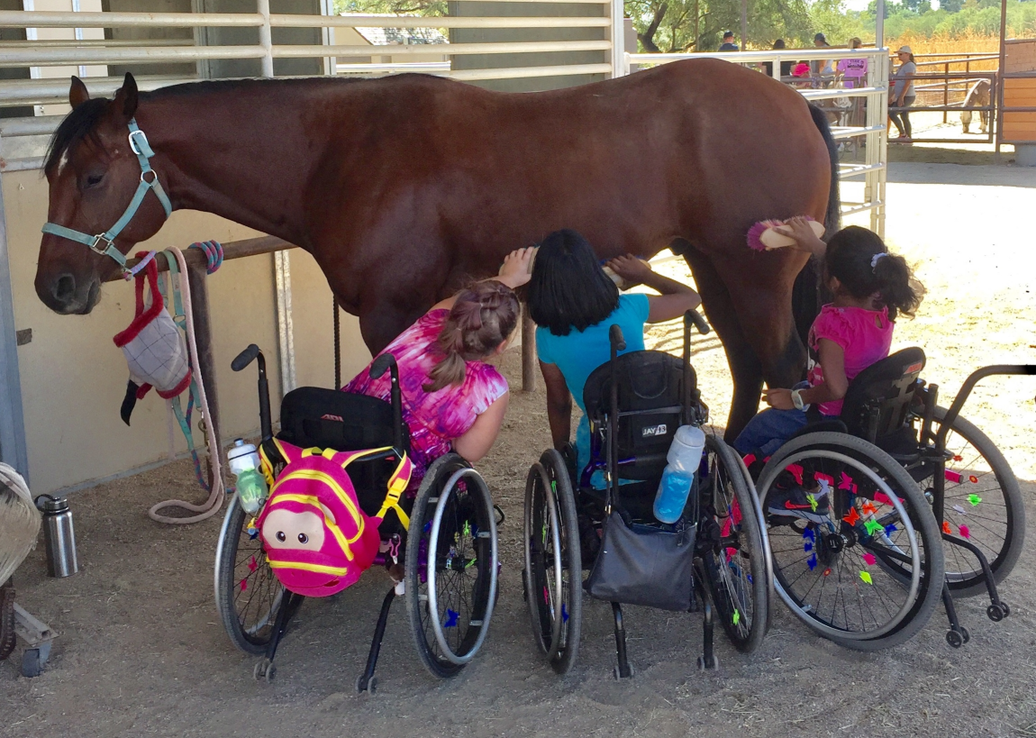 Therapeutic riding session at Therapeutic Ranch for Animals and Kids (TRAK) in Tucson, Arizona